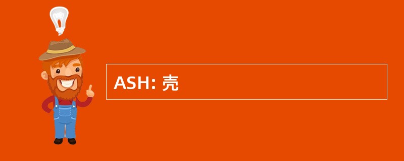 ASH: 壳