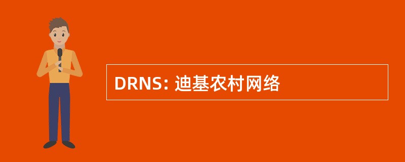 DRNS: 迪基农村网络