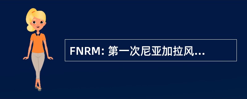 FNRM: 第一次尼亚加拉风险管理公司