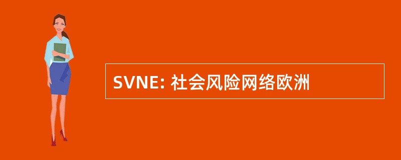 SVNE: 社会风险网络欧洲