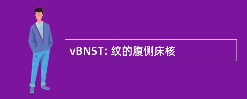 vBNST: 纹的腹侧床核