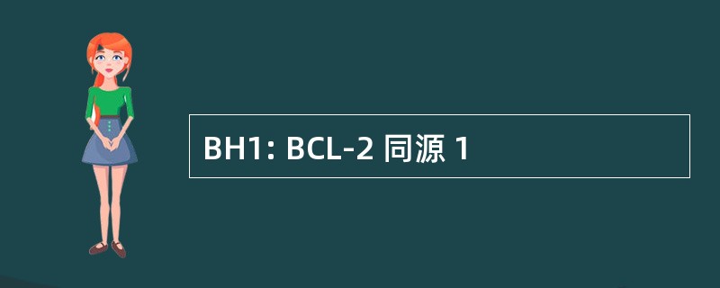 BH1: BCL-2 同源 1