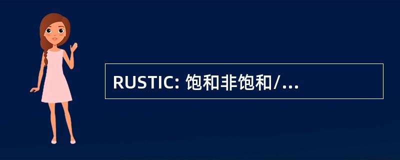 RUSTIC: 饱和非饱和/运输和转化的化学物浓度的风险