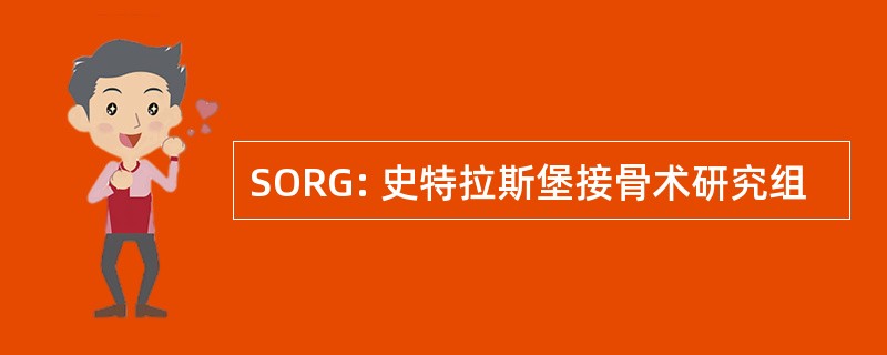 SORG: 史特拉斯堡接骨术研究组