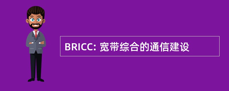 BRICC: 宽带综合的通信建设