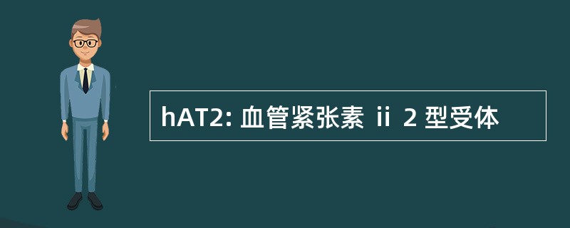 hAT2: 血管紧张素 ⅱ 2 型受体