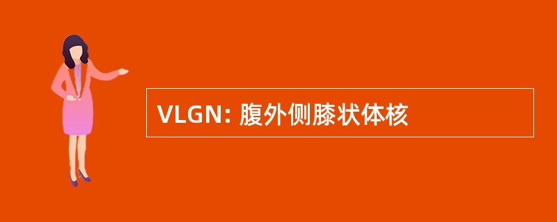 VLGN: 腹外侧膝状体核