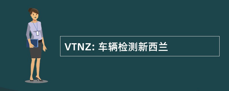 VTNZ: 车辆检测新西兰