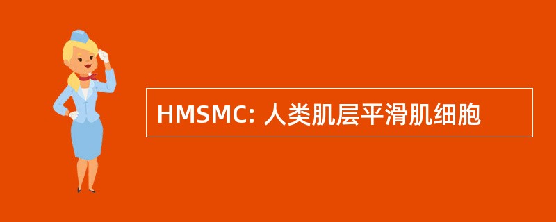 HMSMC: 人类肌层平滑肌细胞