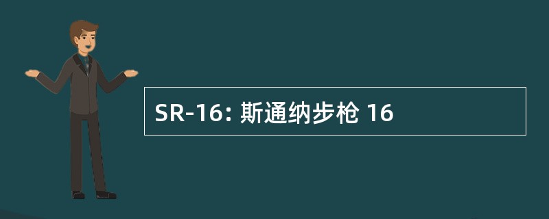 SR-16: 斯通纳步枪 16