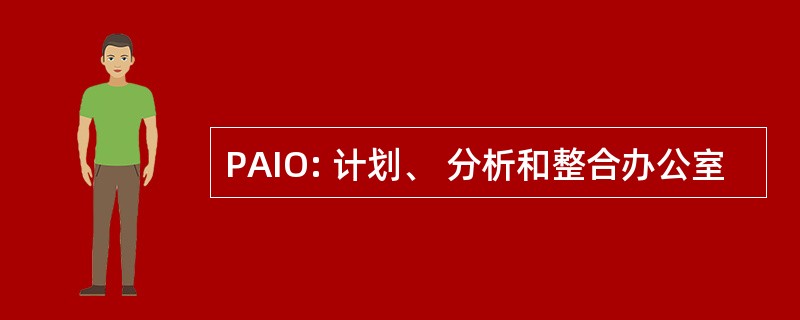 PAIO: 计划、 分析和整合办公室