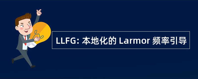 LLFG: 本地化的 Larmor 频率引导