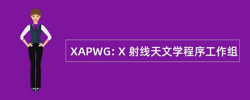 XAPWG: X 射线天文学程序工作组