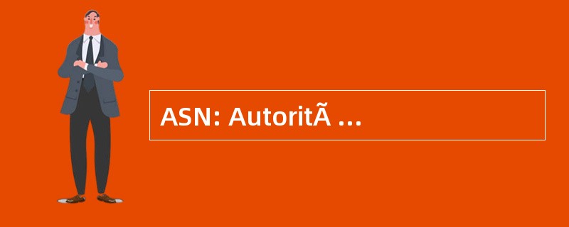 ASN: AutoritÃ © de SÃ» retÃ © NuclÃ © 艾尔