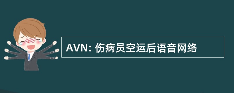 AVN: 伤病员空运后语音网络