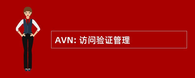 AVN: 访问验证管理