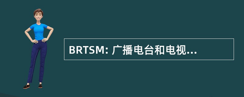 BRTSM: 广播电台和电视台，系统维护