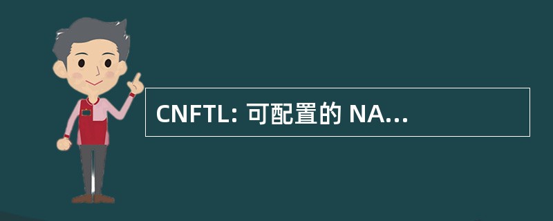 CNFTL: 可配置的 NAND 闪存转换层