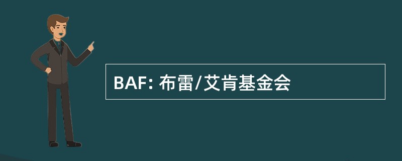 BAF: 布雷/艾肯基金会