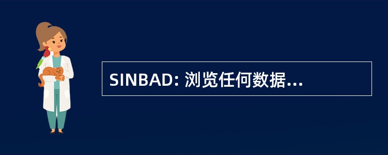 SINBAD: 浏览任何数据库的 SQL 接口