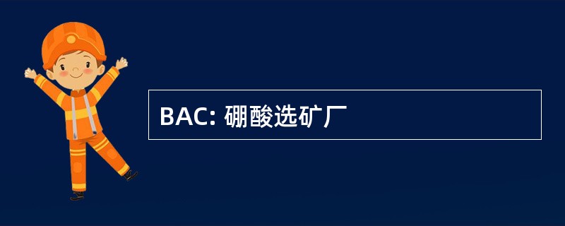 BAC: 硼酸选矿厂