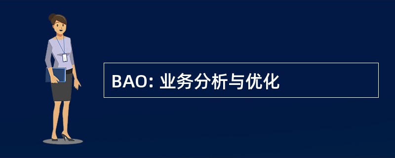 BAO: 业务分析与优化