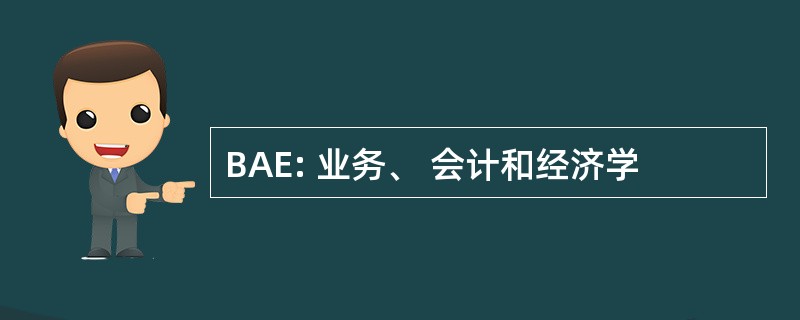 BAE: 业务、 会计和经济学