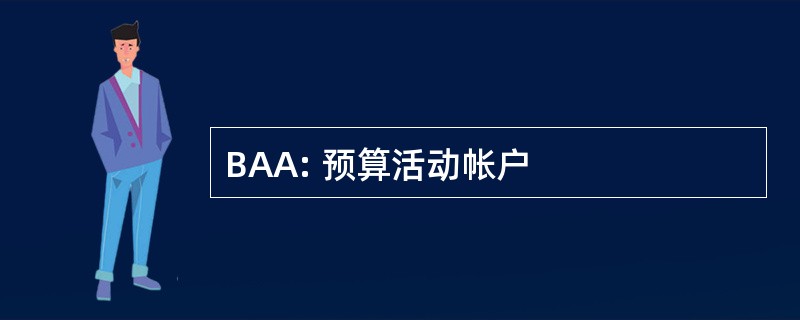 BAA: 预算活动帐户