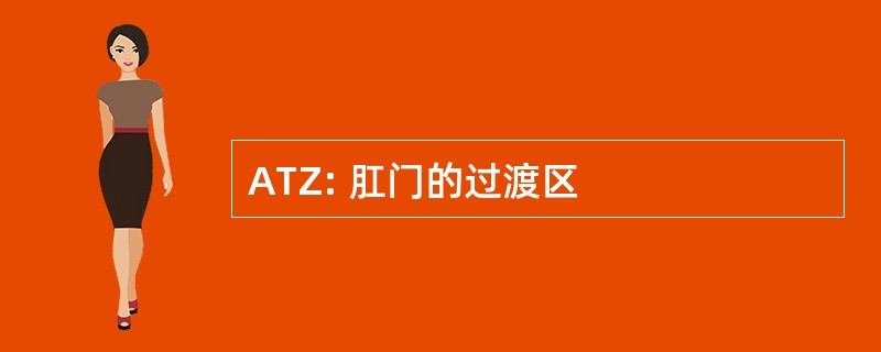 ATZ: 肛门的过渡区