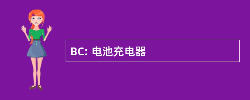 BC: 电池充电器