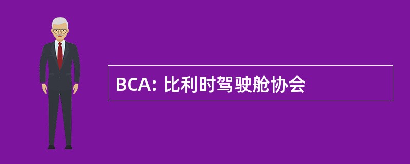 BCA: 比利时驾驶舱协会