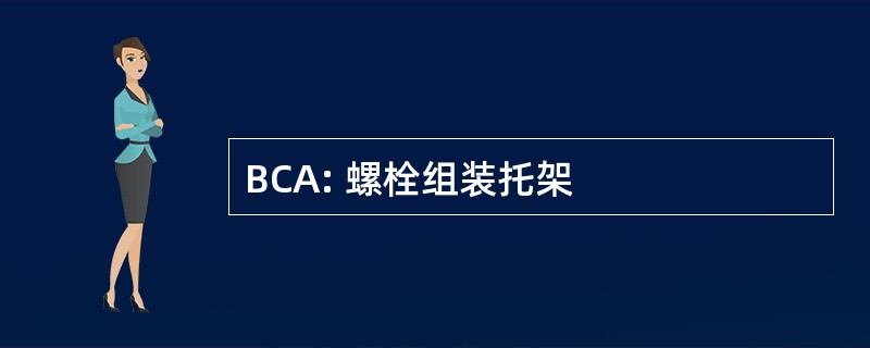 BCA: 螺栓组装托架