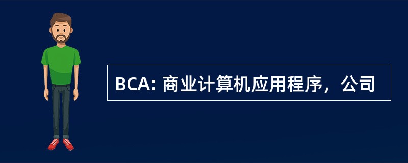 BCA: 商业计算机应用程序，公司