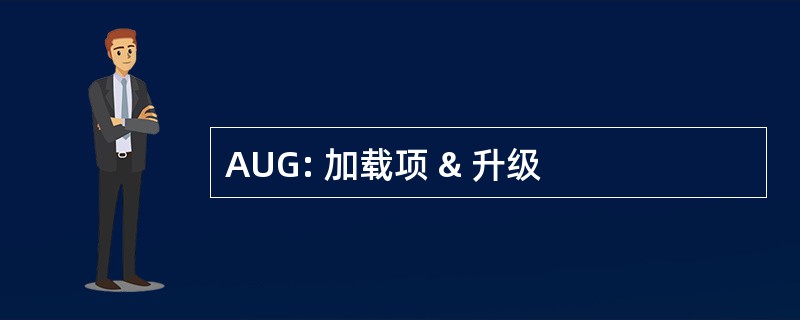 AUG: 加载项 & 升级