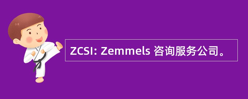 ZCSI: Zemmels 咨询服务公司。