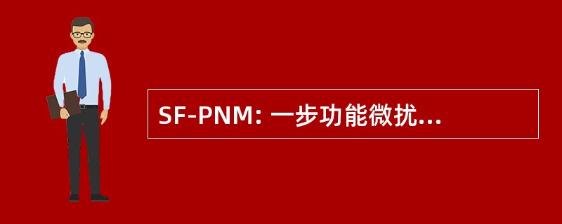 SF-PNM: 一步功能微扰的数值方法