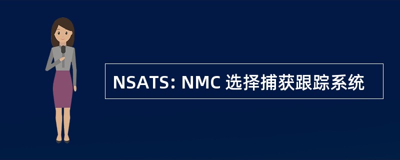 NSATS: NMC 选择捕获跟踪系统