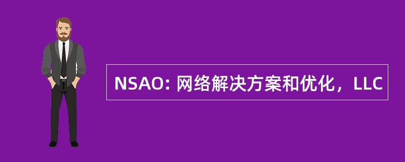 NSAO: 网络解决方案和优化，LLC