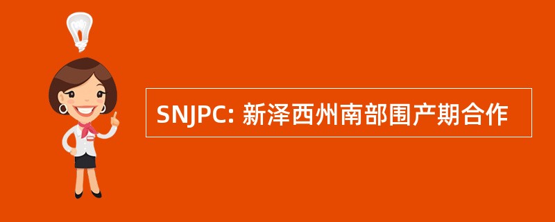 SNJPC: 新泽西州南部围产期合作