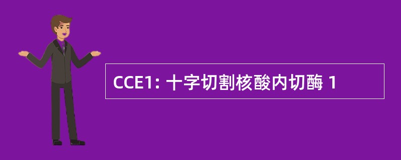 CCE1: 十字切割核酸内切酶 1