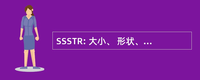 SSSTR: 大小、 形状、 阴影、 音色和关系