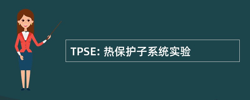 TPSE: 热保护子系统实验