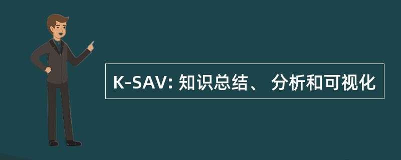 K-SAV: 知识总结、 分析和可视化