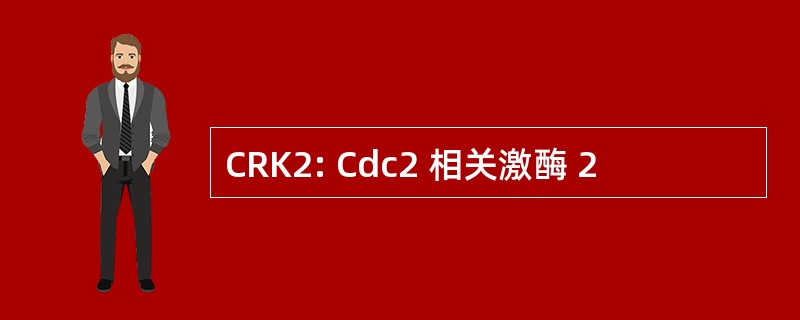 CRK2: Cdc2 相关激酶 2