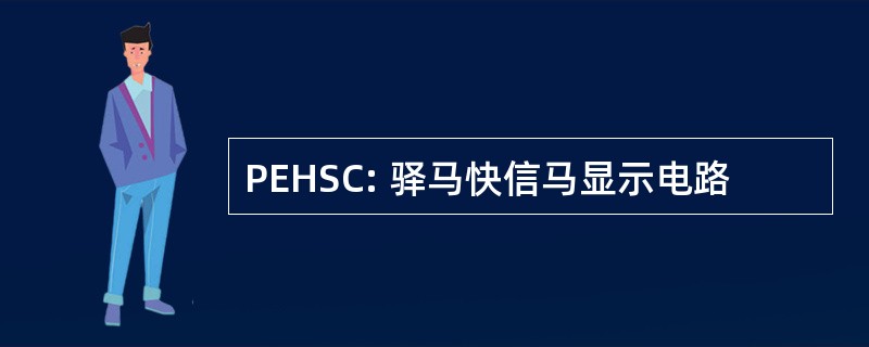 PEHSC: 驿马快信马显示电路