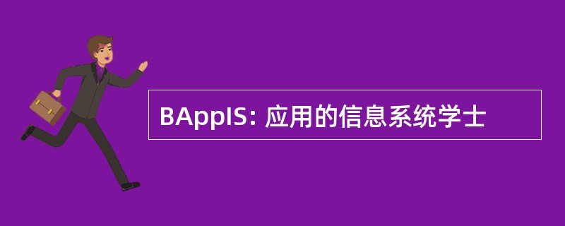 BAppIS: 应用的信息系统学士