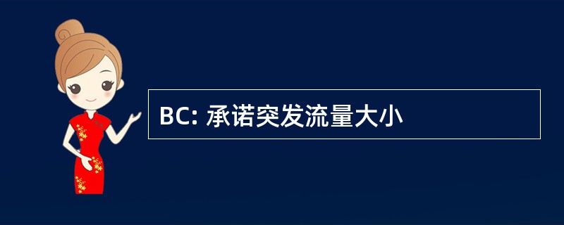 BC: 承诺突发流量大小