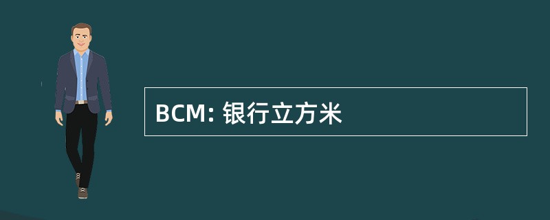 BCM: 银行立方米