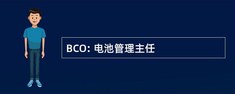 BCO: 电池管理主任