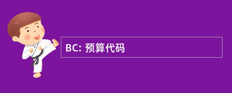 BC: 预算代码